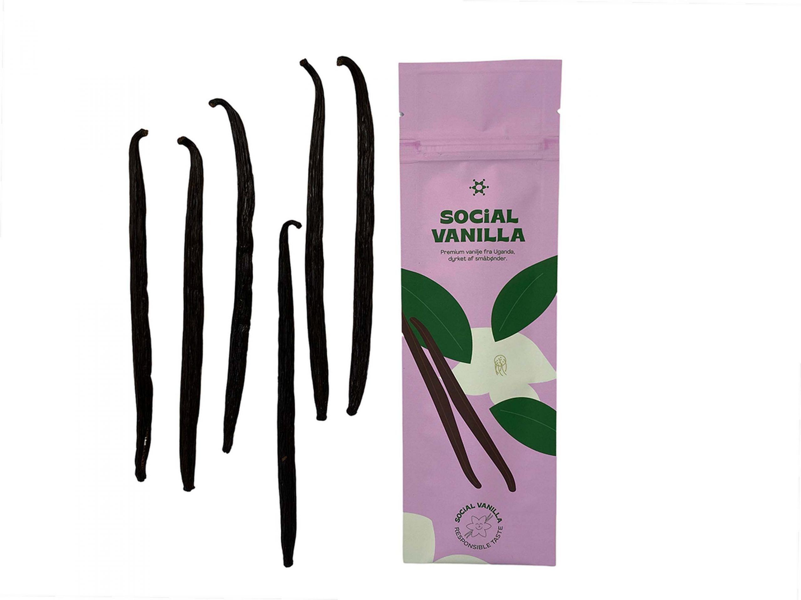 Vaniljestang - 5-6 stk./20g, gourmetkvalitet