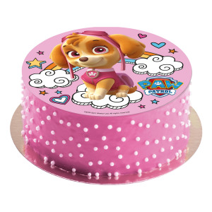 160163-DISCO OBLEA TARTA SKYE PAW PATROL 20CM_3