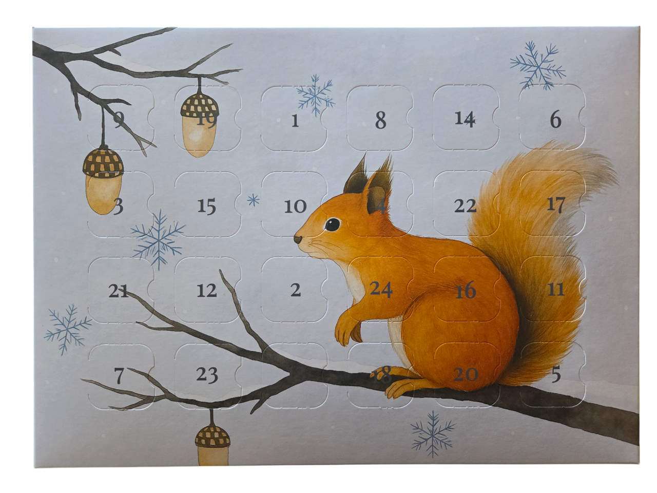 24 Luker Julekalender - Ekorn, 20 stk.